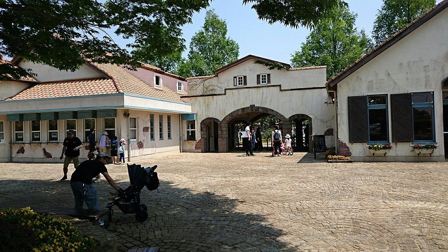 🌳 나뭇잎 사이로 비치는 햇살 숲의 이바라이도(코모레비모리노 이바라이도) 이미지 9